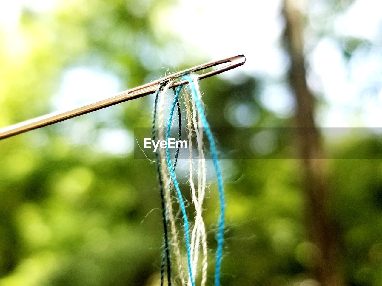 Close-up of threads in needle