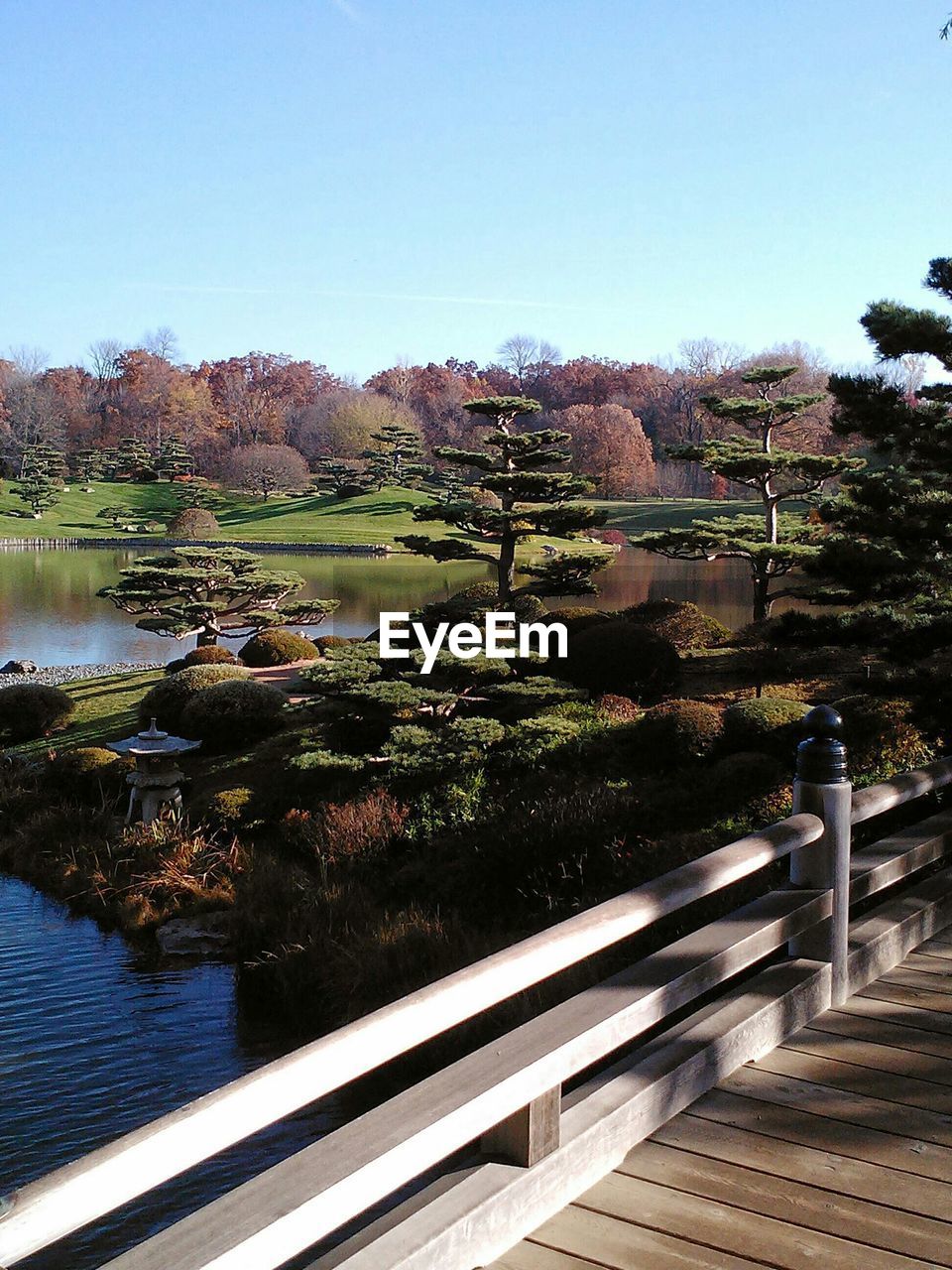 SCENIC VIEW OF CALM RIVER AGAINST CLEAR SKY