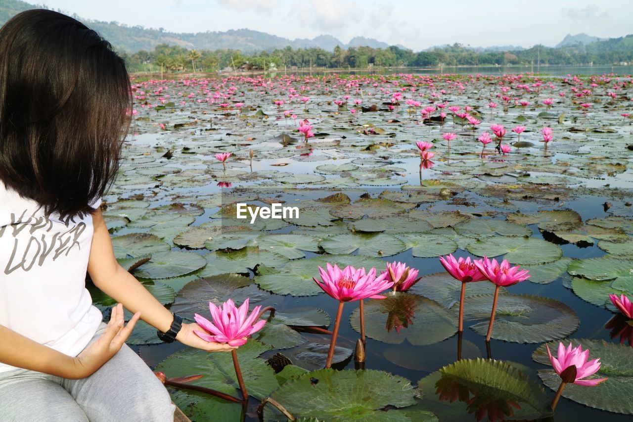 Woman looking at pink water lily in pond