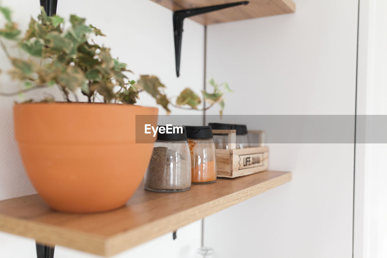 Close-up of potted plant on table at home