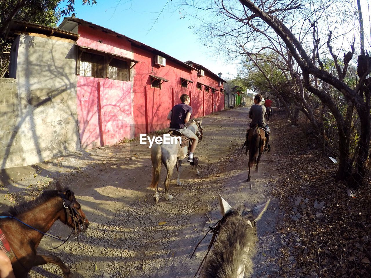 Rear view of friends riding horses on dirt road