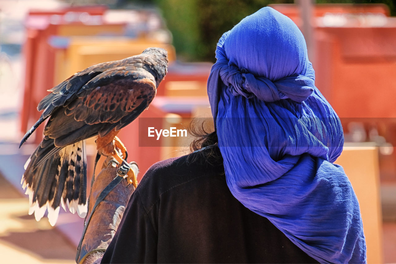 Rear view of person holding falcon while standing outdoors