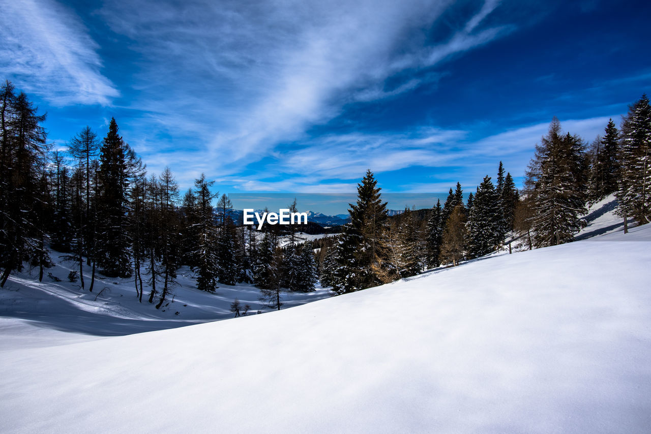 snow, winter, cold temperature, tree, sky, plant, scenics - nature, nature, environment, forest, beauty in nature, cloud, coniferous tree, landscape, pine tree, mountain range, mountain, pinaceae, land, footwear, tranquil scene, blue, woodland, pine woodland, non-urban scene, tranquility, frozen, white, winter sports, no people, piste, snowcapped mountain, outdoors, travel destinations, evergreen tree, travel, spruce tree, sunlight, polar climate, idyllic, wilderness