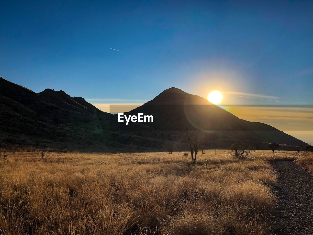 Scenic view of field against bright sun