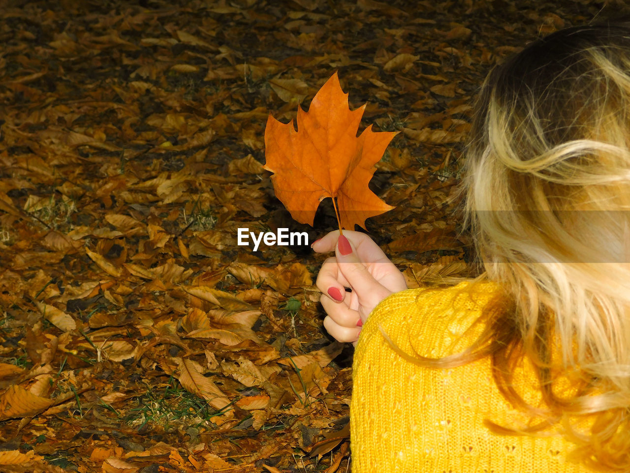 Woman holding autumn leaf at night