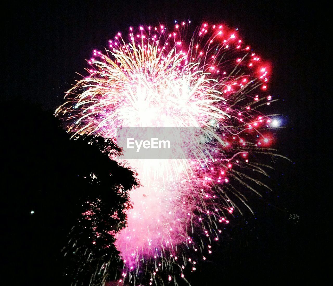 Low angle view of firework display at night