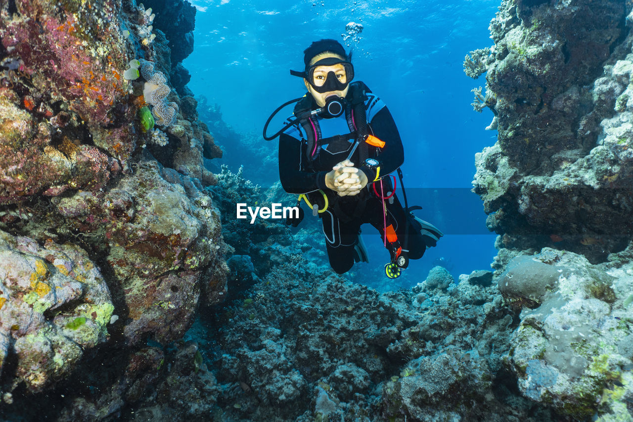 Diver exploring the great barrie reef