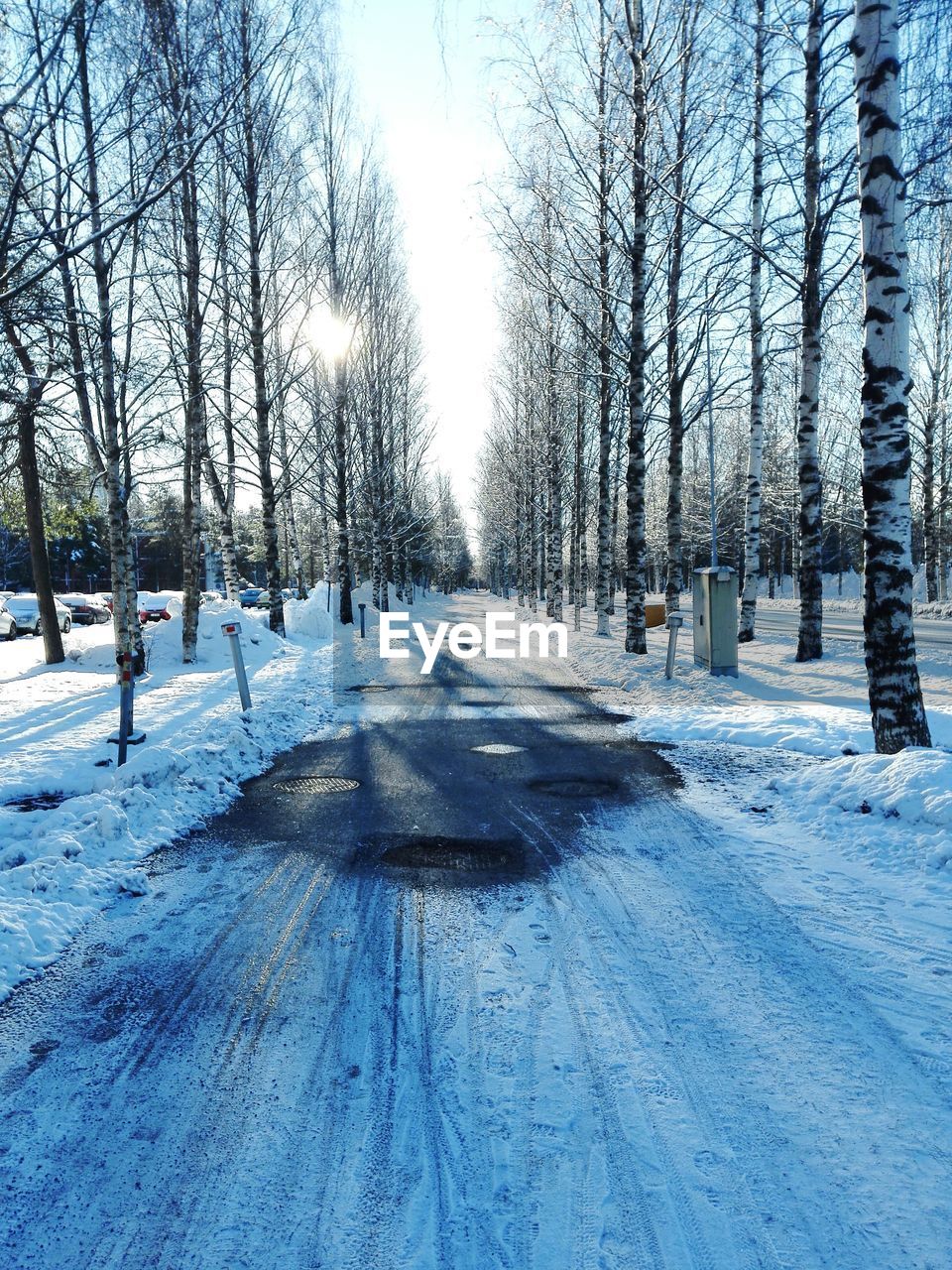 Snow covered road amidst bare trees at forest