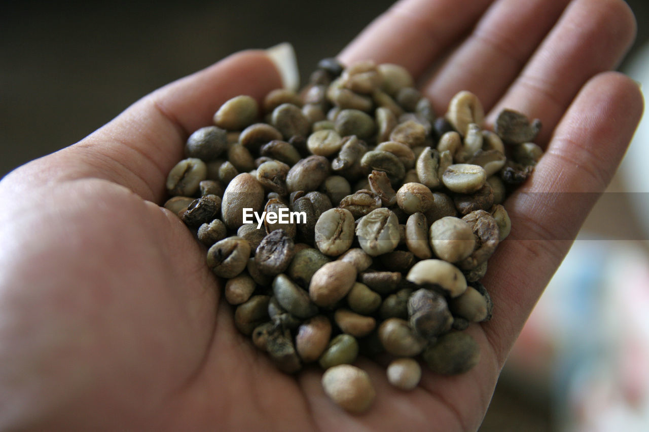 CROPPED IMAGE OF PERSON HOLDING COFFEE