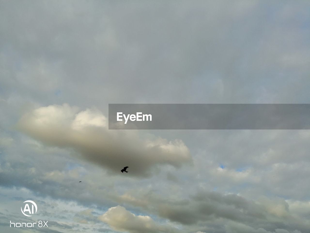 LOW ANGLE VIEW OF BIRD FLYING AGAINST CLOUDS