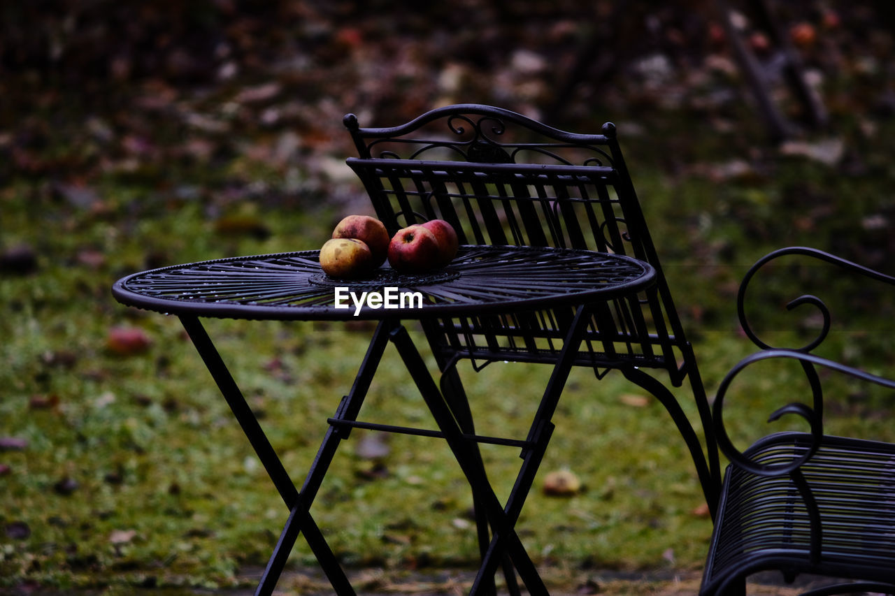 Close-up of apples in basket on table against bench in field