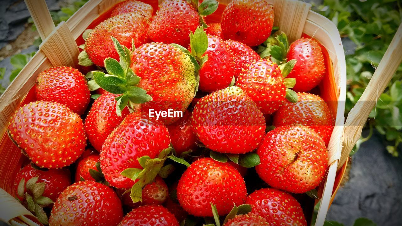 Close-up of strawberries