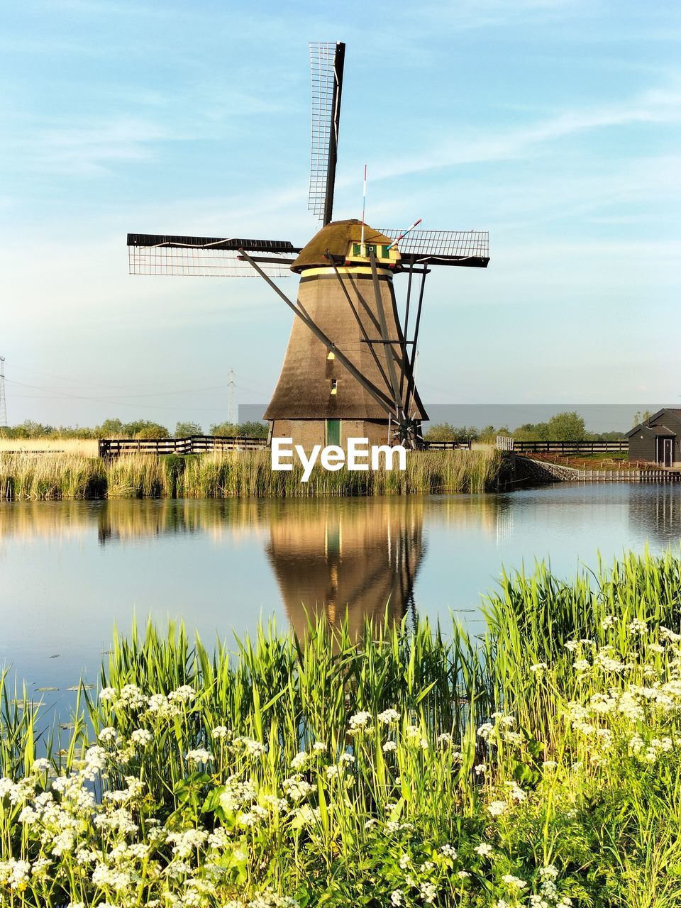 Rotterdam's windmill