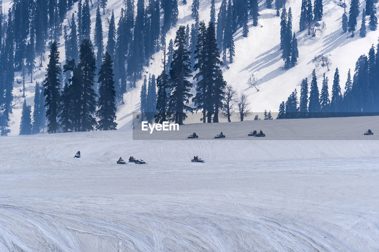 SCENIC VIEW OF SNOW COVERED LAND AND TREES