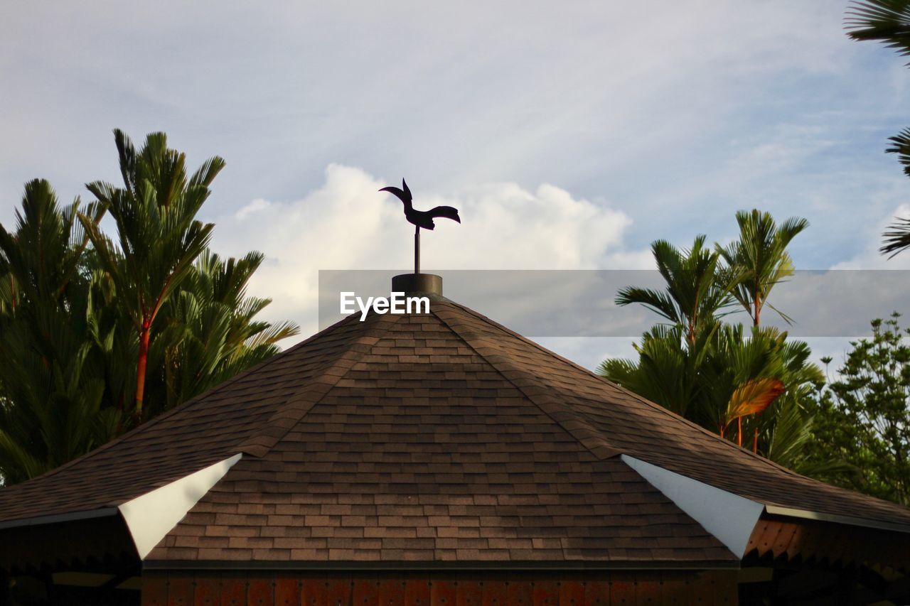 LOW ANGLE VIEW OF BIRD FLYING OVER BUILDING