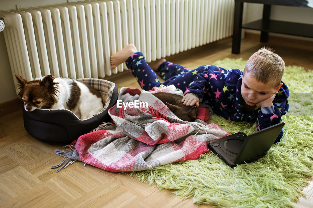 Boy lays next to battery and watches movie. chihuahua dogs with him. issue of heating or kid leisure