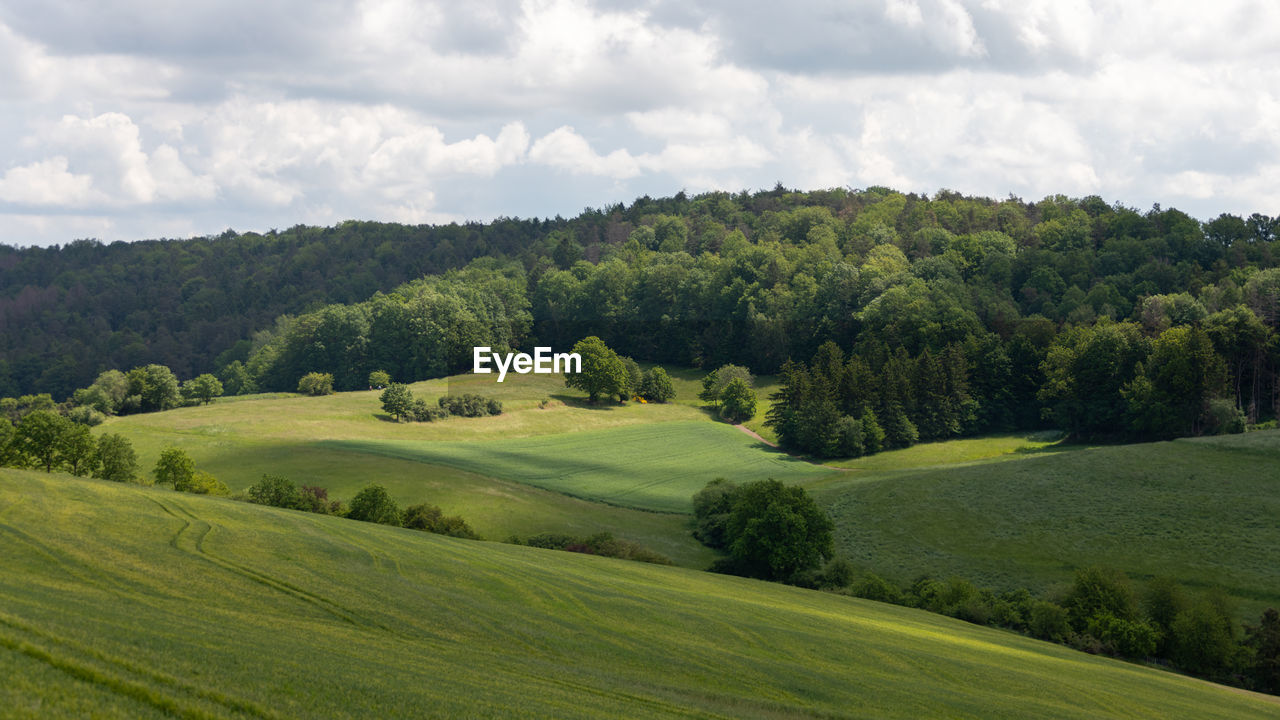 SCENIC VIEW OF LANDSCAPE