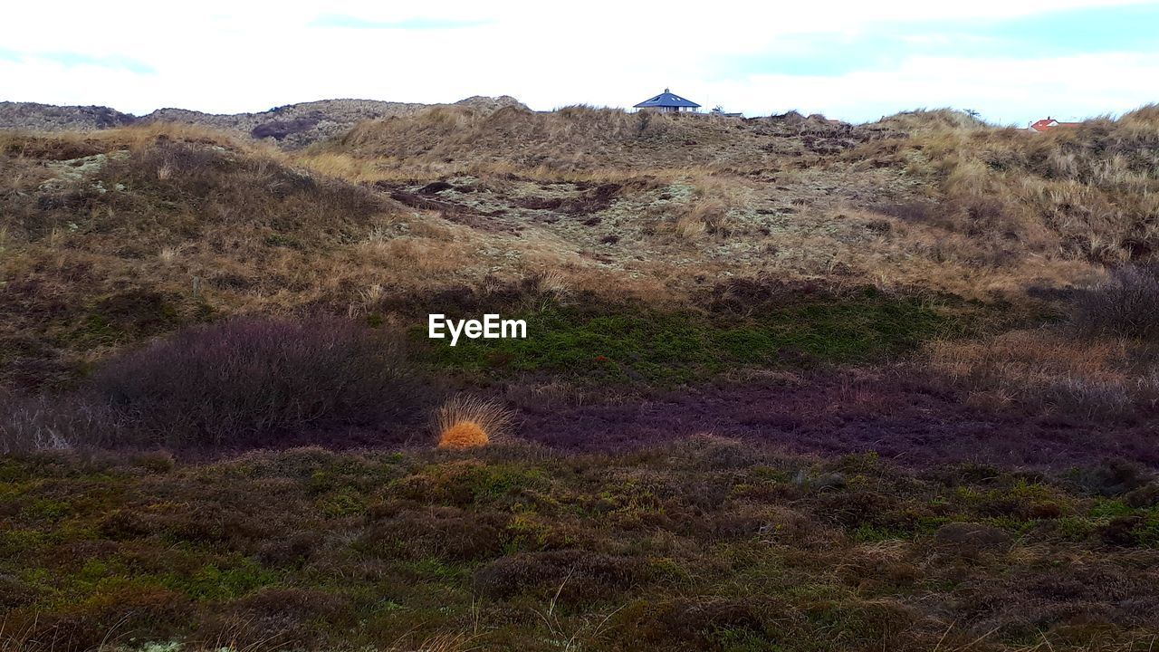 SCENIC VIEW OF LAND AGAINST SKY