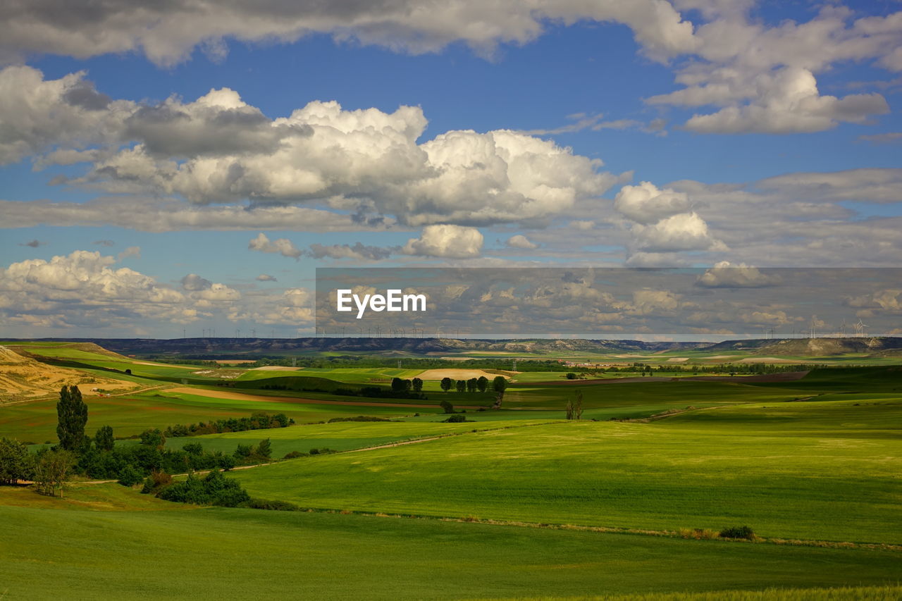 SCENIC VIEW OF FIELD AGAINST CLOUDY SKY