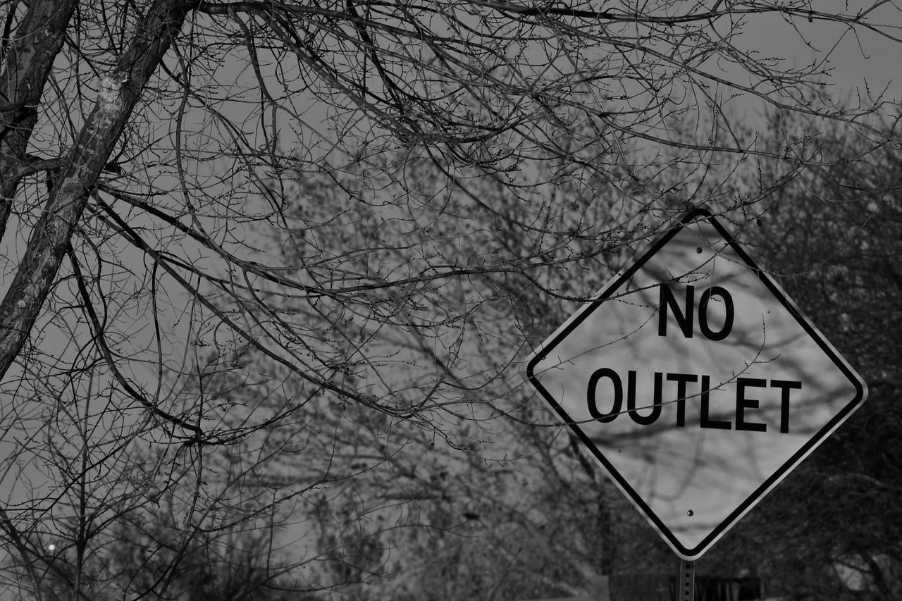 Low angle view of signboard against bare trees at forest