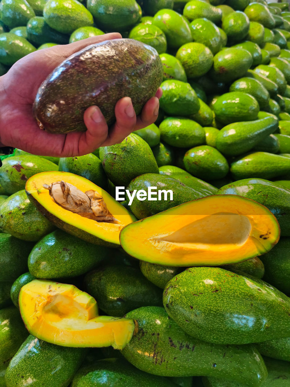 HIGH ANGLE VIEW OF HAND HOLDING GREEN BEANS