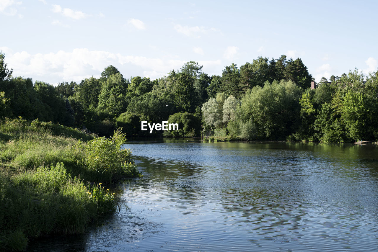 tree, plant, water, river, body of water, sky, nature, reflection, beauty in nature, tranquility, scenics - nature, forest, no people, reservoir, tranquil scene, pond, environment, green, non-urban scene, day, bank, land, growth, landscape, outdoors, waterway, cloud, wetland, travel destinations, natural environment