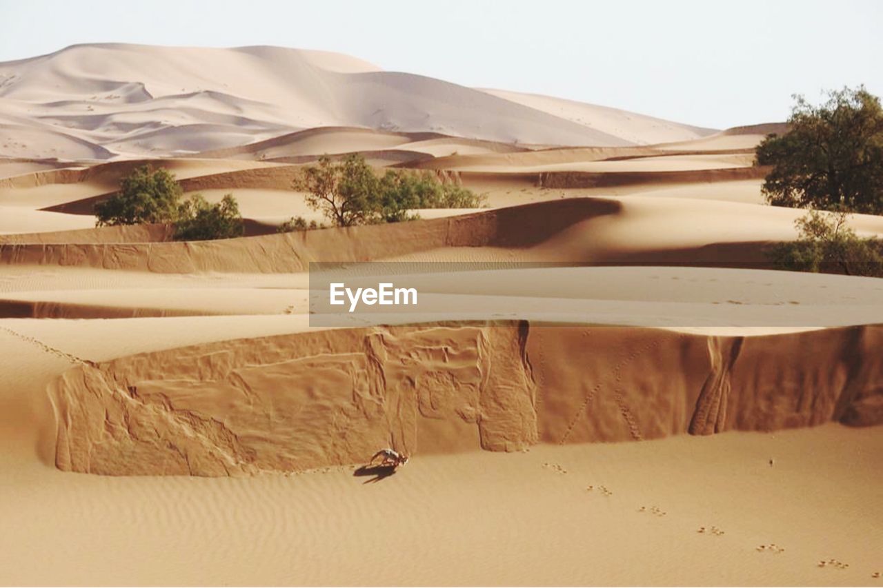 Sand dunes in desert against sky