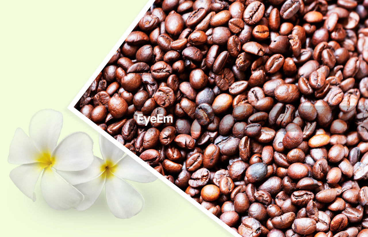 HIGH ANGLE VIEW OF COFFEE BEANS AGAINST GRAY BACKGROUND