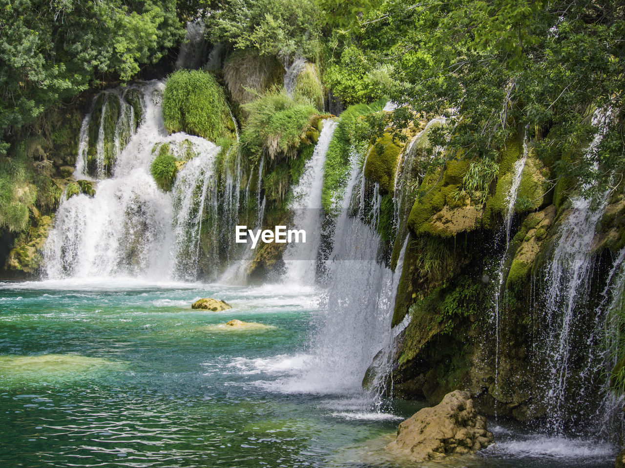 Scenic view of waterfall in forest