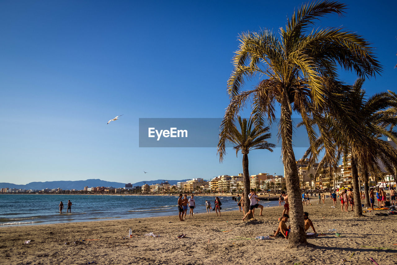 Group of people on beach