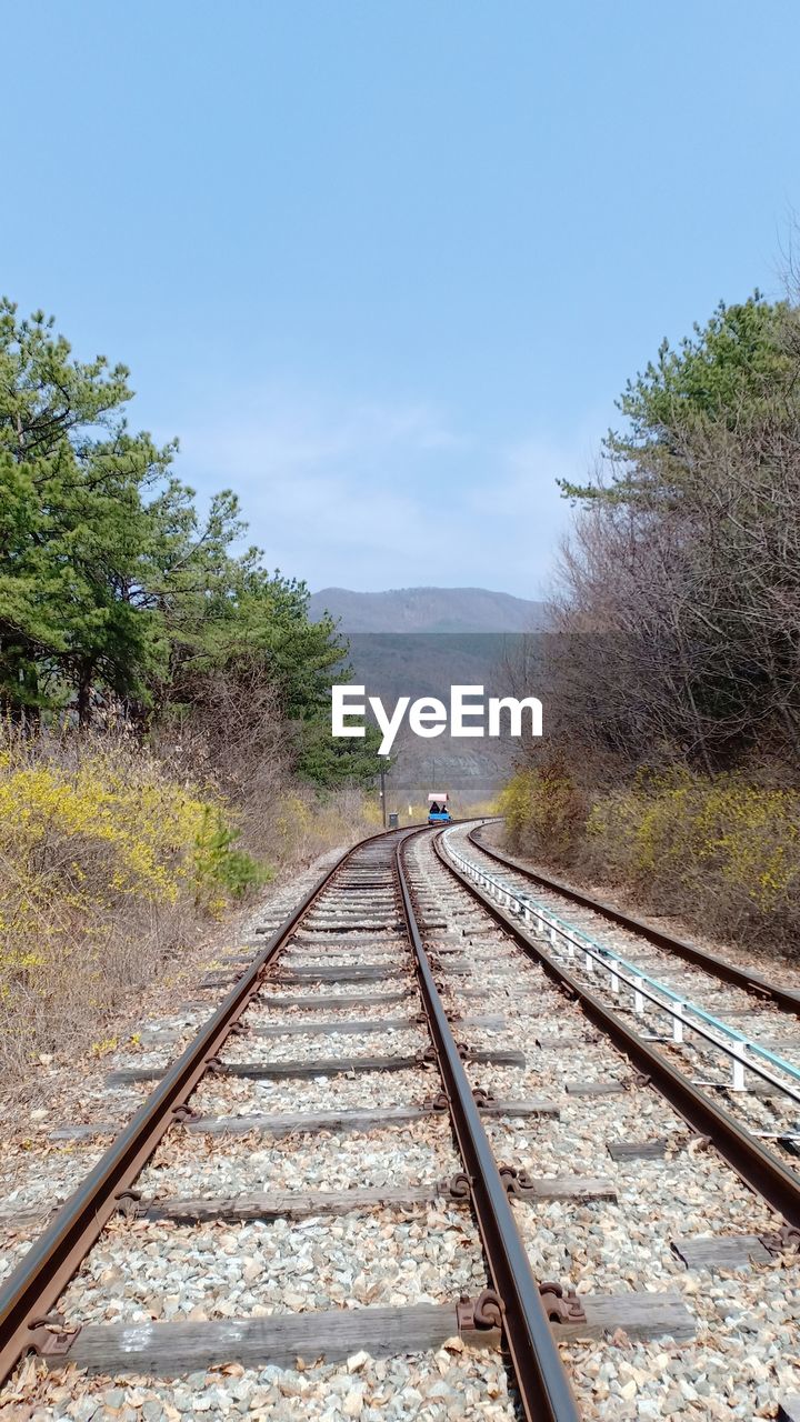 RAILROAD TRACK ALONG TREES