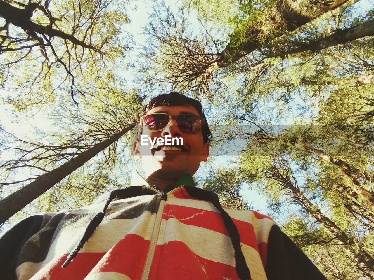 Directly below portrait of young man standing in forest