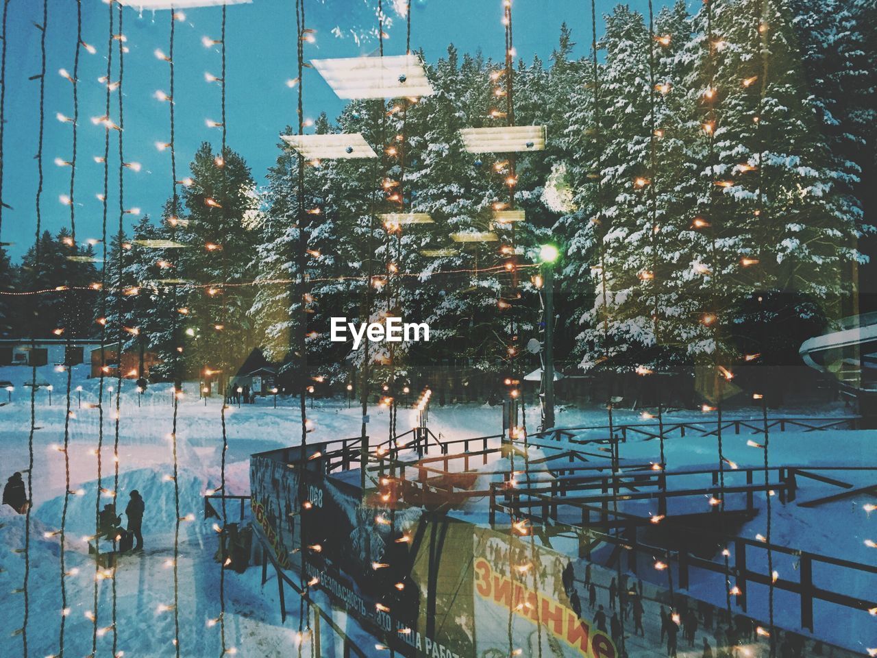 Trees against sky during snow seen from glass with illuminated lighting decoration