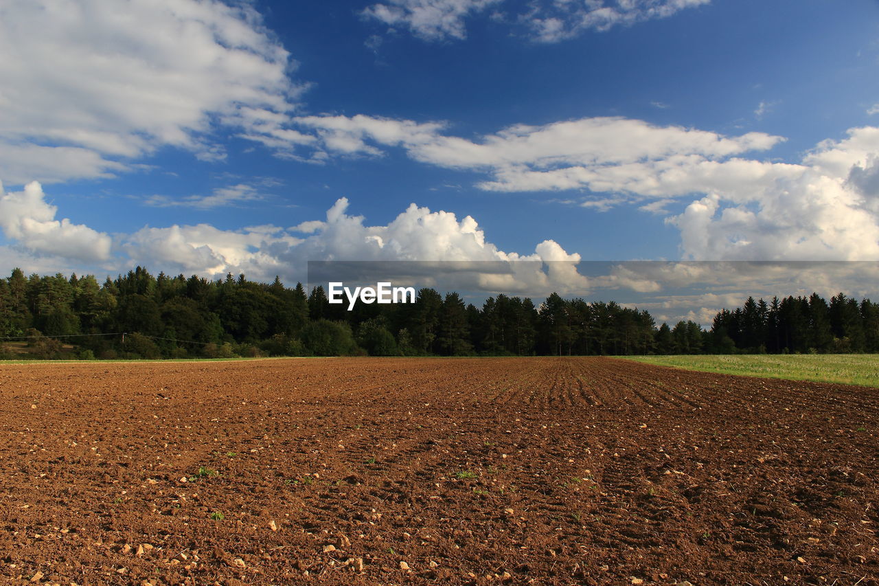 field, sky, landscape, soil, cloud, agriculture, plant, environment, land, horizon, plain, tree, rural area, nature, rural scene, prairie, grassland, grass, scenics - nature, growth, no people, crop, beauty in nature, food, day, hill, farm, tranquility, outdoors, food and drink, vegetable, cereal plant, blue, natural environment, tranquil scene, plowed field