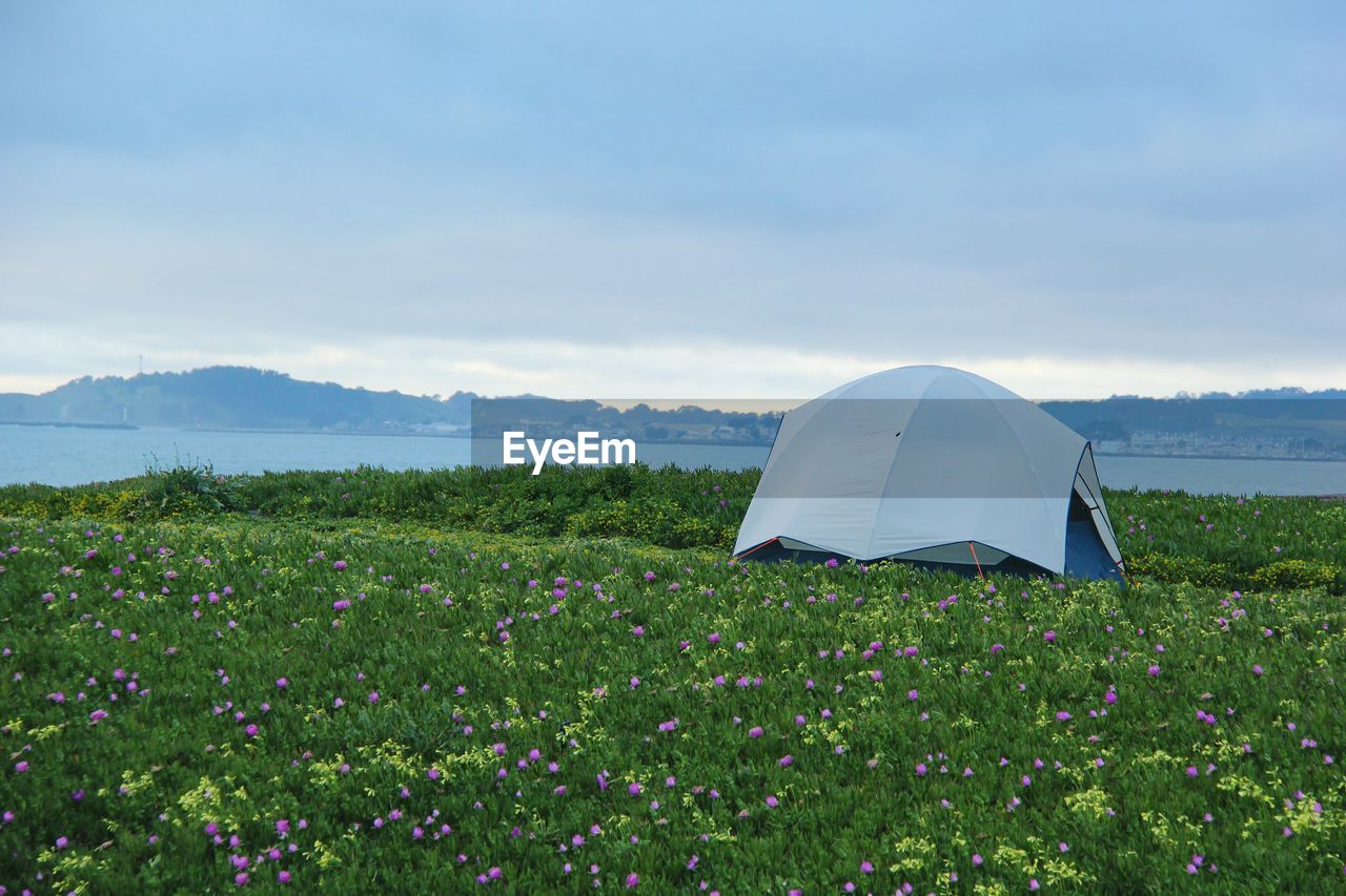 Tent on grassy field against river