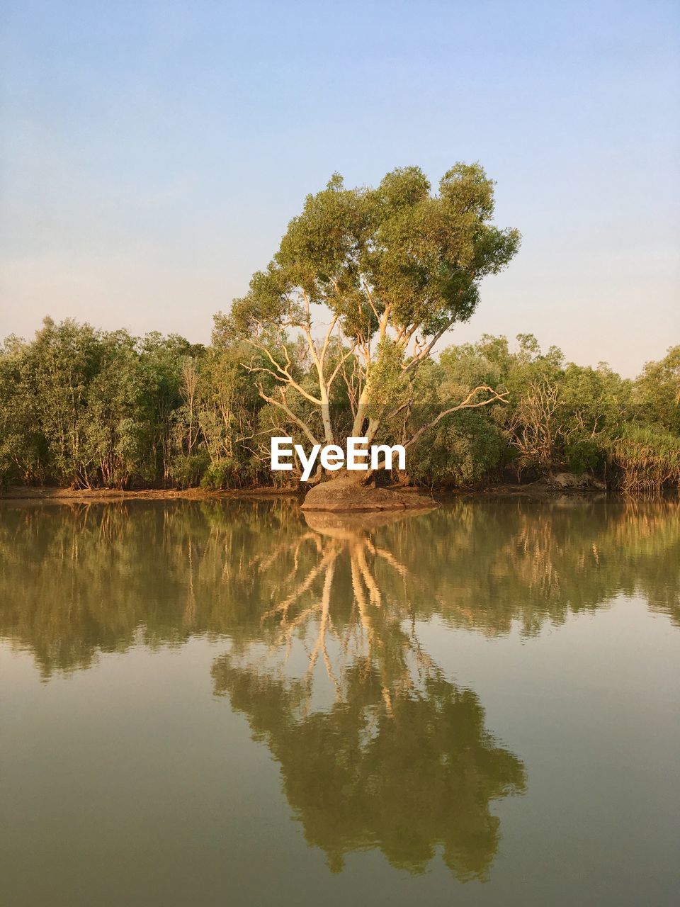 Reflection of trees in lake against clear sky