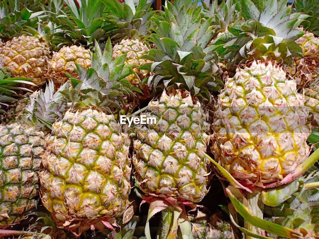 FULL FRAME SHOT OF FRUITS IN MARKET