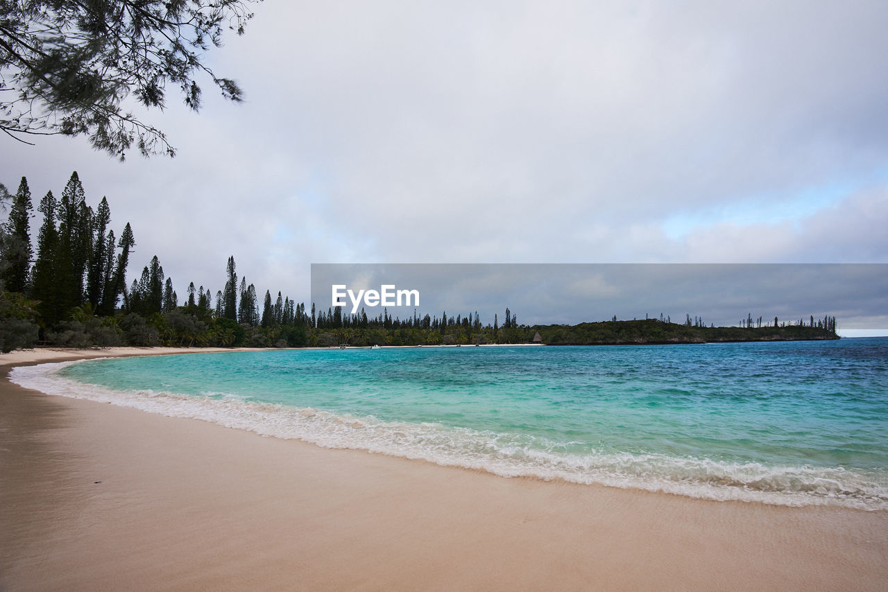 Scenic view of beach against sky with pine trees in background
