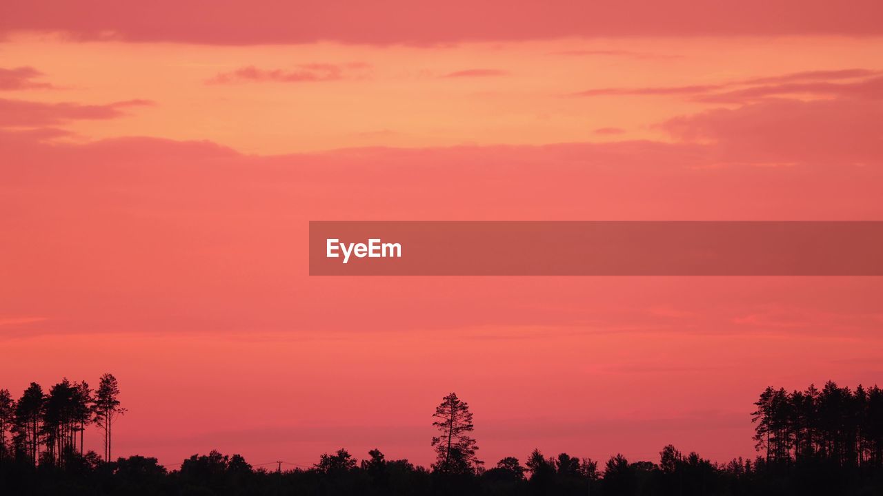 low angle view of silhouette trees against sky during sunset