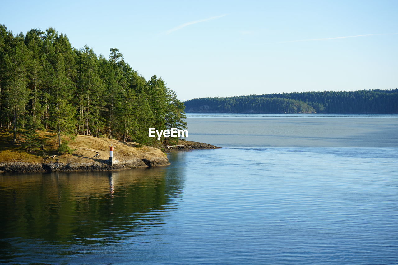 SCENIC VIEW OF LAKE AGAINST TREES IN FOREST