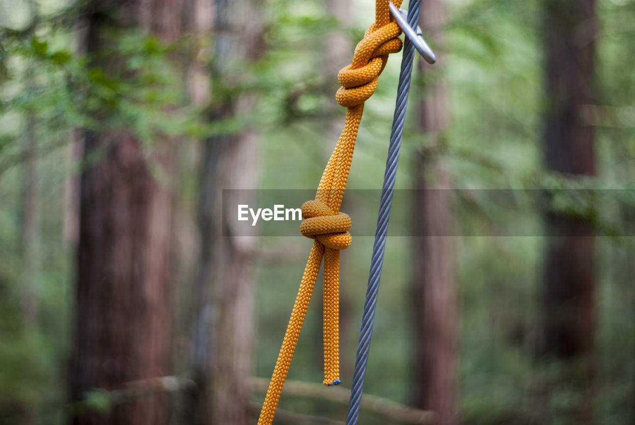Close-up of rope tied on metal structure in forest