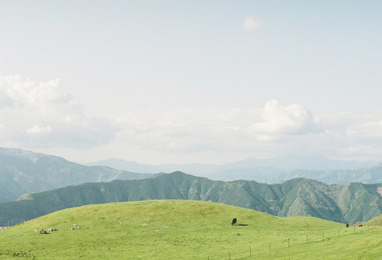 Scenic view of green landscape against sky