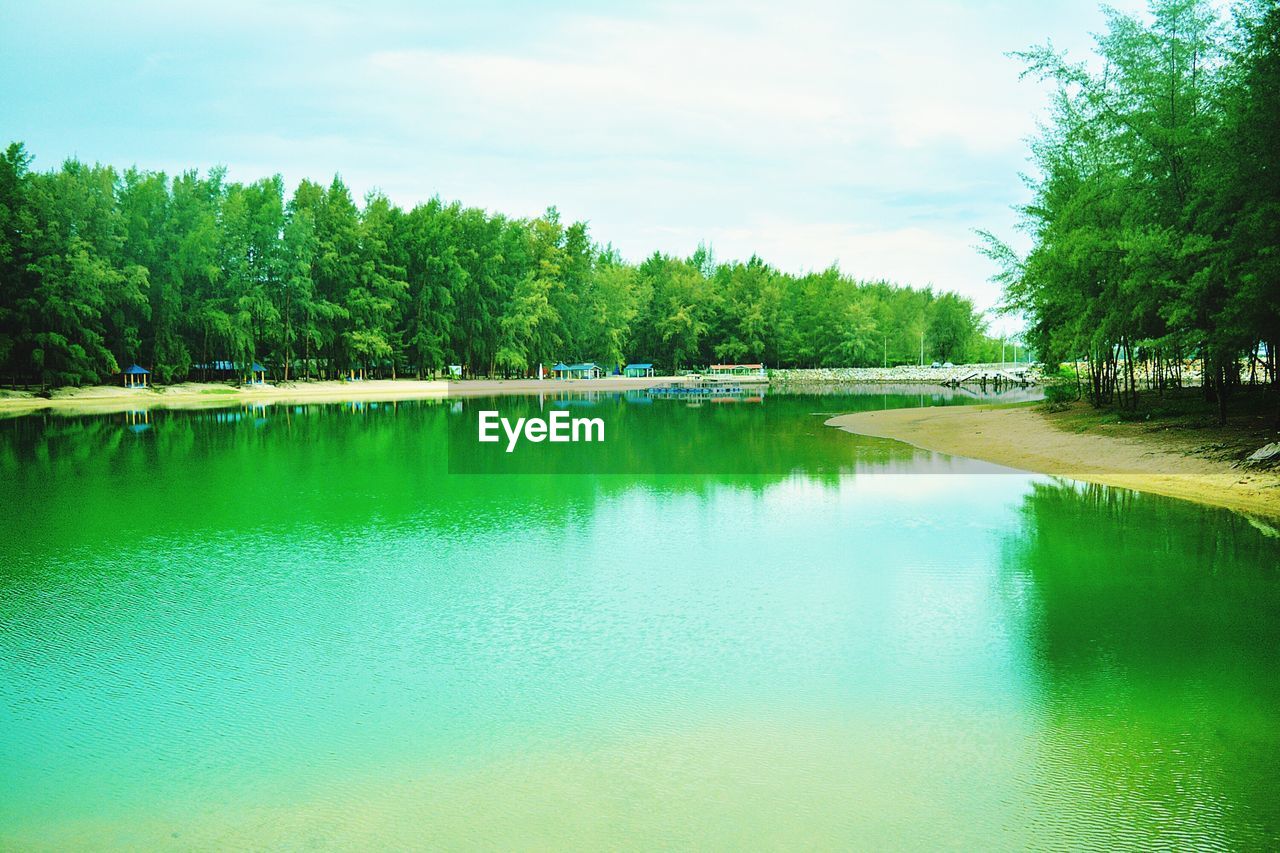 SCENIC VIEW OF LAKE WITH TREES REFLECTION AGAINST SKY