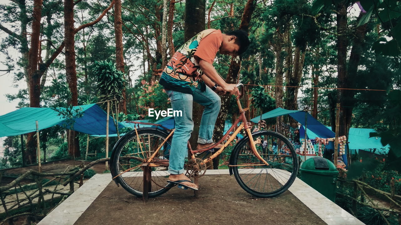 Teenage boy on bicycle in forest