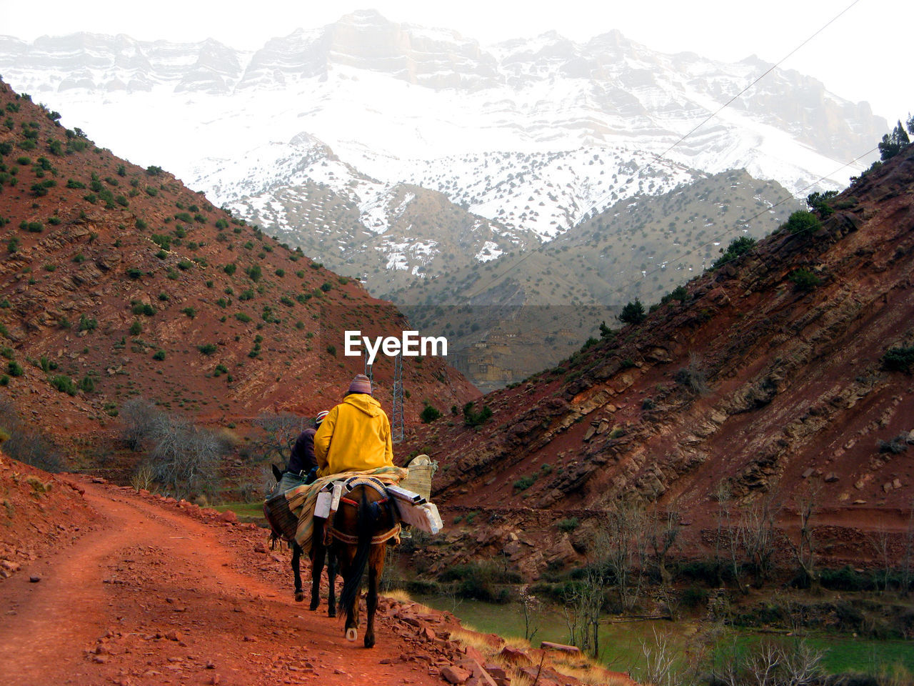 People riding horses on mountain road