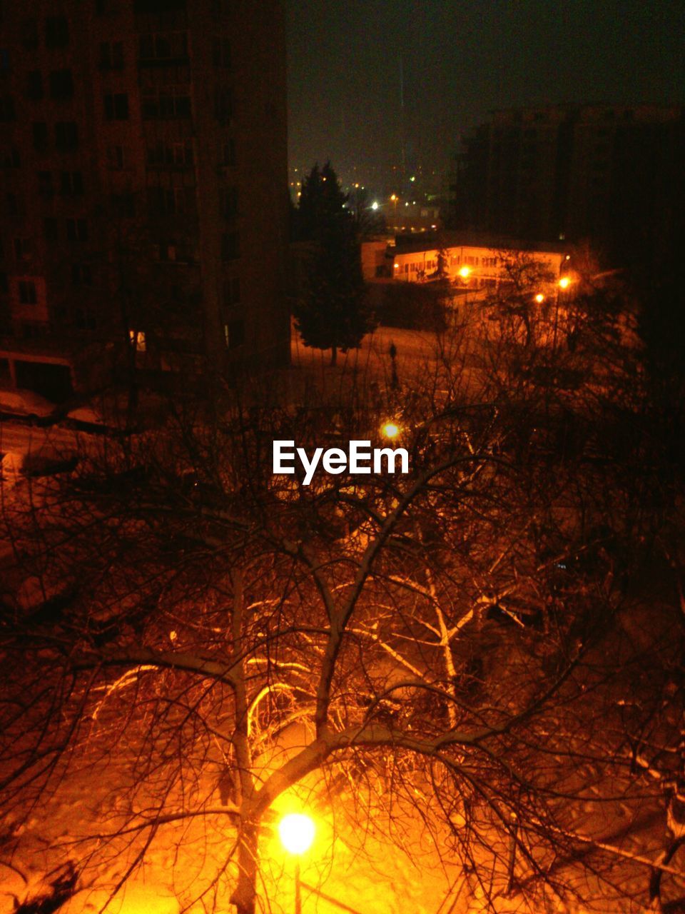 LOW ANGLE VIEW OF ILLUMINATED STREET LIGHT AT NIGHT