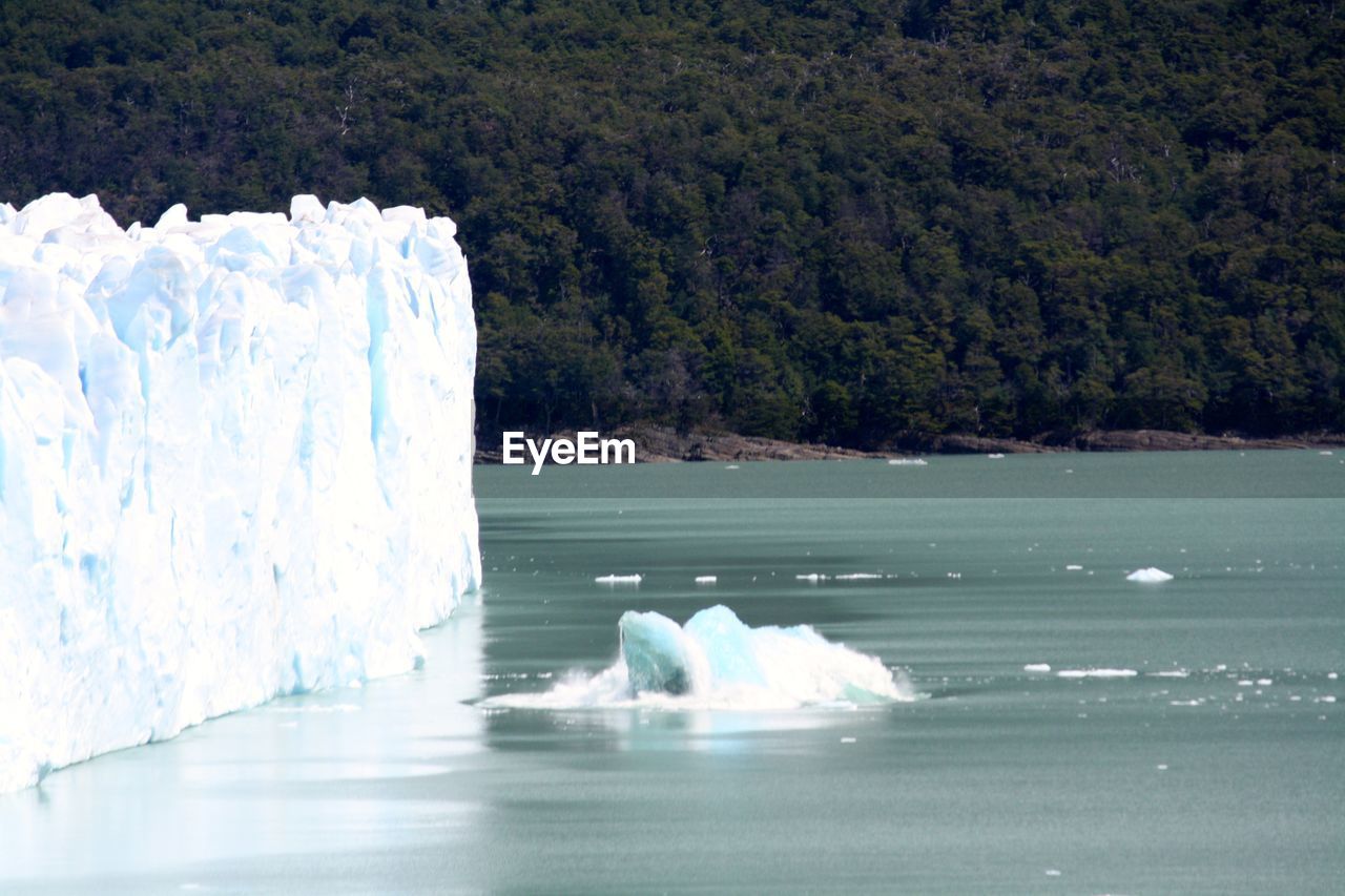 Lake by glacier in front of trees