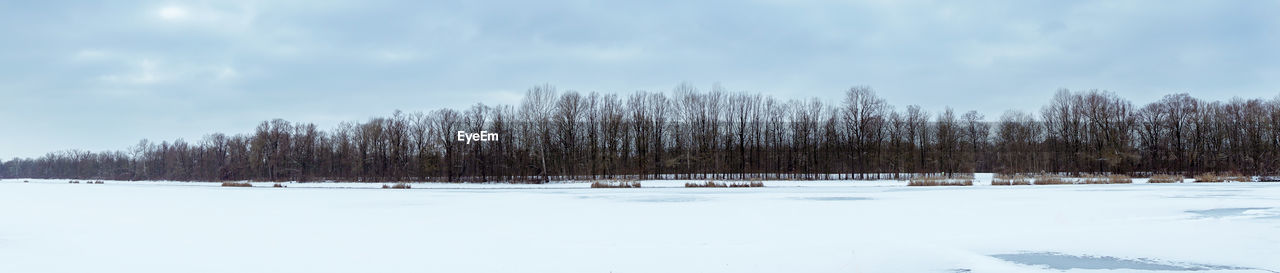 PANORAMIC SHOT OF TREES ON SNOW COVERED LANDSCAPE