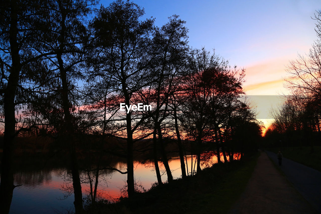 SILHOUETTE TREES BY LAKE AGAINST ORANGE SKY