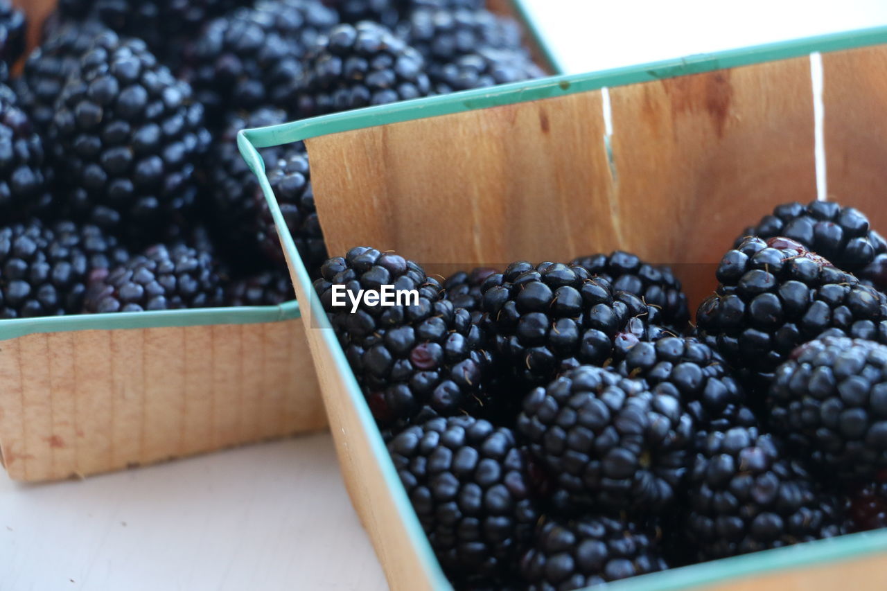 HIGH ANGLE VIEW OF FRUITS IN CONTAINER